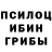 Галлюциногенные грибы прущие грибы Vladyslav Ilhov